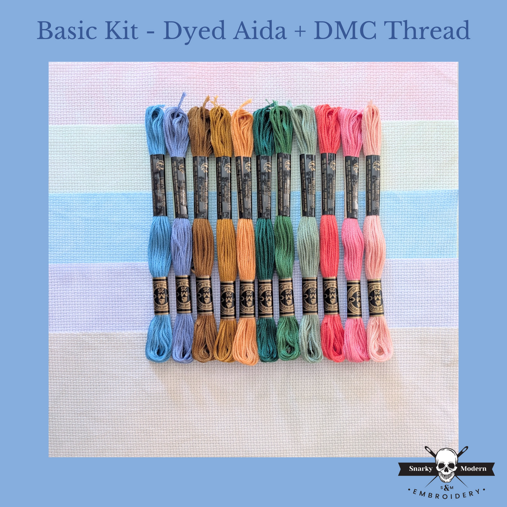 Stitches Basic Basic Kit with DMC Floss: Pride and Prejudice Stitch-Along – Afterglow ...
